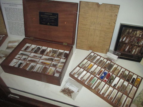 UQ Marks-Hirschfeld Museum Of Medical History - Accommodation Burleigh 0