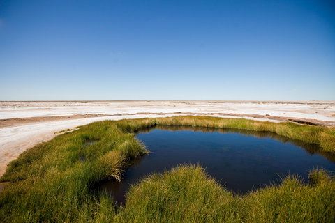 Wabma Kadarbu Mound Springs Conservation Park - Accommodation Burleigh 0