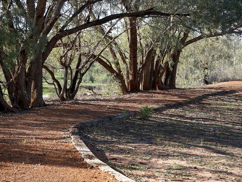 Warrego Floodplain Walking Track - Accommodation Burleigh 0