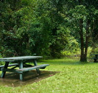 Williams River picnic area - Accommodation Burleigh
