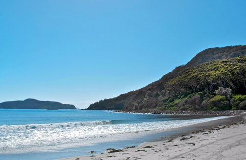 Yacaaba Headland Walking Track - Accommodation Burleigh 0