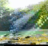 Airlie Beach to Cedar Creek Falls - Accommodation Burleigh