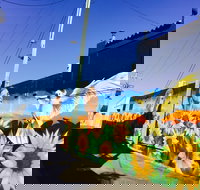 Art Trails in the Moree Plains - Accommodation Burleigh