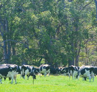 Boyanup - Accommodation Burleigh