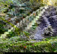 Cascades Walking Track - Accommodation Burleigh