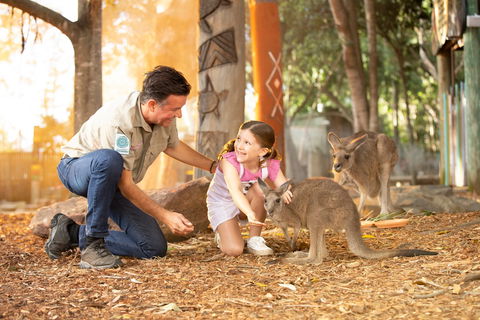 Dreamworld - Accommodation Burleigh 2