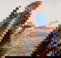 Katherine Outback Experience - Horse Riding Experience - Accommodation Burleigh