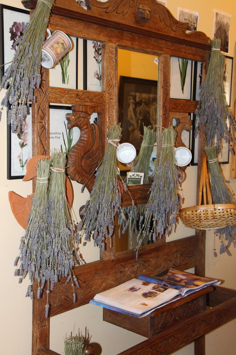 Lavender House In Railway Park - Accommodation Burleigh 1