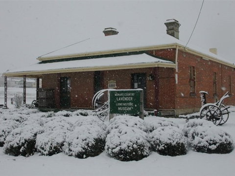 Lavender House In Railway Park - Accommodation Burleigh 2