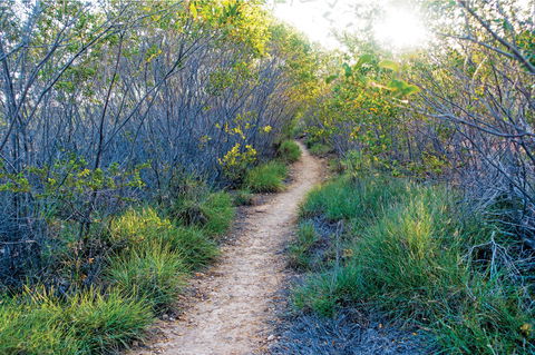 Minerva Hills National Park - Accommodation Burleigh 2