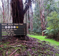 Mount Worth State Park - Accommodation Burleigh
