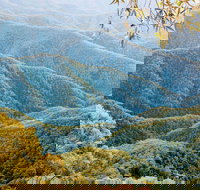 Point Lookout Walking Track - Accommodation Burleigh