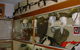 Queensland Military Memorial Museum - thumb 1