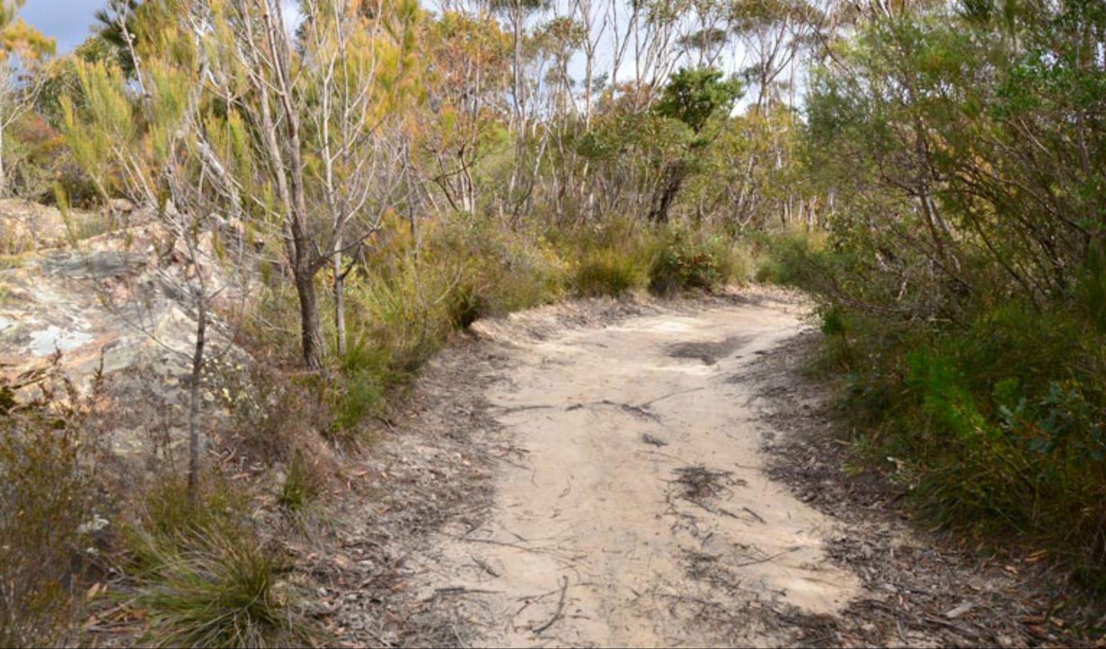 Browns Mountain NSW Accommodation Burleigh