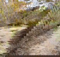 Red Rocks trig walking track - Accommodation Burleigh