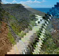 The Coast Walking Track - Accommodation Burleigh