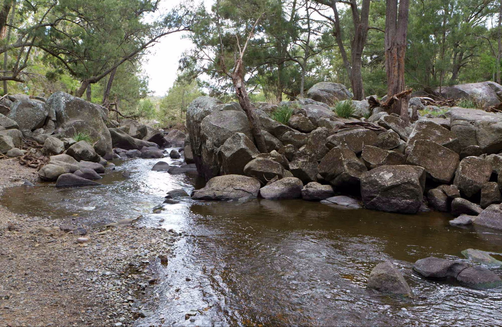 Aberfoyle NSW Accommodation Burleigh