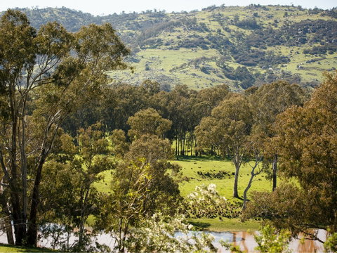 Trawool Valley - Accommodation Burleigh 0