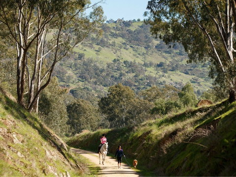 Trawool Valley - Accommodation Burleigh 1