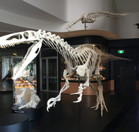 UNE Natural History Museum - Accommodation Burleigh