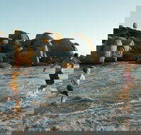 Venus Bay - Accommodation Burleigh