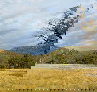 Weddin Mountains National Park - Accommodation Burleigh