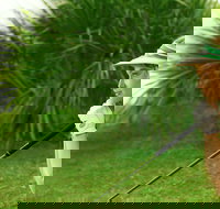 Whitsunday Green Club Golf - Accommodation Burleigh