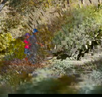 Australian Arid Lands Botanic Garden - Accommodation Burleigh