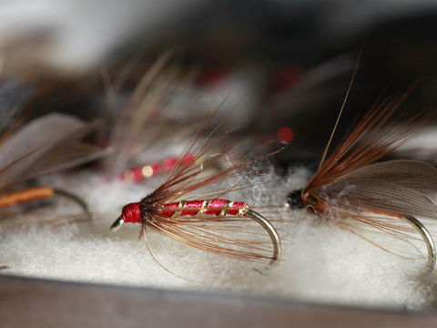 Australian Fly Fishing Museum - Accommodation Burleigh 0