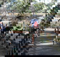 Bidgee Riverside Trail  - Hay Nature Walk - Accommodation Burleigh