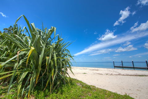 Bongaree Walkabout - Accommodation Burleigh 0