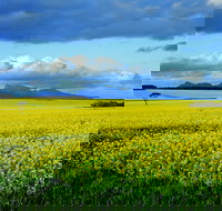 Borden - Accommodation Burleigh