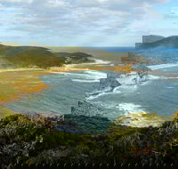 Bullimah Spur Track - Accommodation Burleigh