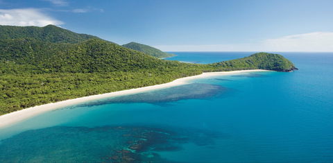 Cape Tribulation, Daintree National Park - Accommodation Burleigh 0