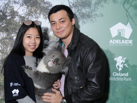 Cleland Wildlife Park - Koala Hold - Accommodation Burleigh 0