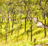 Davies Creek Mountain Bike Park - Accommodation Burleigh