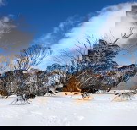 Dinner Plain - Accommodation Burleigh