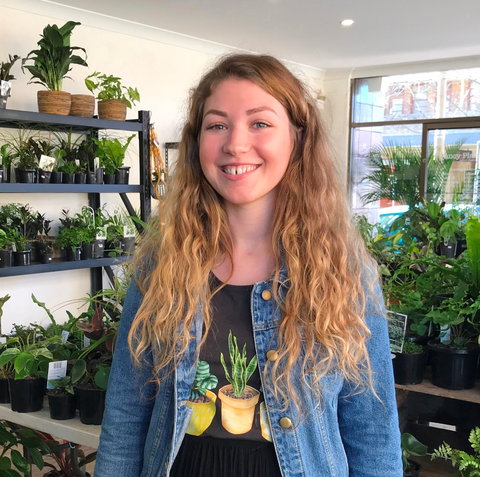 Fancy Plants - Accommodation Burleigh 2