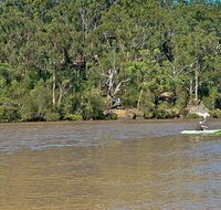 Fitzpatrick Park - Accommodation Burleigh