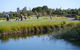 FootGolf At Northbridge Golf Club - thumb 0