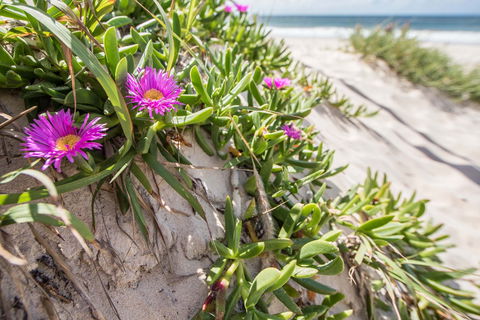 Fort Bribie - Accommodation Burleigh 0