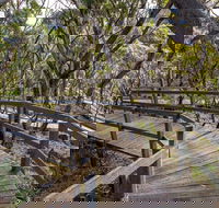 Governor Summit Corrunbral Borawah Walking Track - Accommodation Burleigh