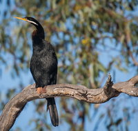 Greenough River Nature Trail - Accommodation Burleigh