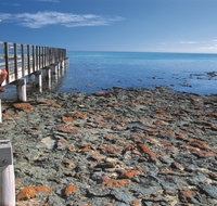 Hamelin Pool Stromatolites - Accommodation Burleigh