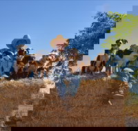 Katherine Outback Experience - Accommodation Burleigh