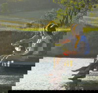 Lovedale - Accommodation Burleigh