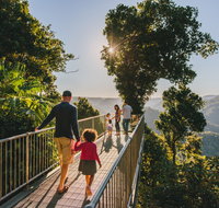 Mamu Tropical Skywalk - Accommodation Burleigh