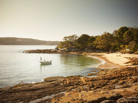 Manly To Spit Bridge Scenic Walkway - Accommodation Burleigh 1