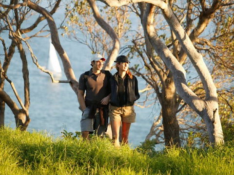 Manly To Spit Bridge Scenic Walkway - Accommodation Burleigh 2