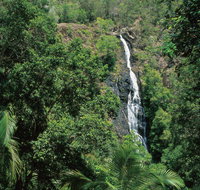 Mapleton Falls National Park - Accommodation Burleigh